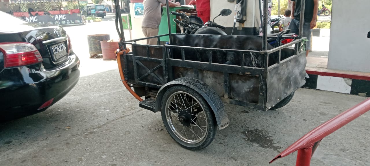 Becak Modif Becak Modifikasi Isi Pertalite dalam Jumlah Besar di SPBU Simangambat ...