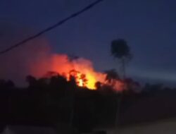 Karhutla di Taliabu Meluas, Api Lahap Kawasan Hutan dan Tanaman Warga.